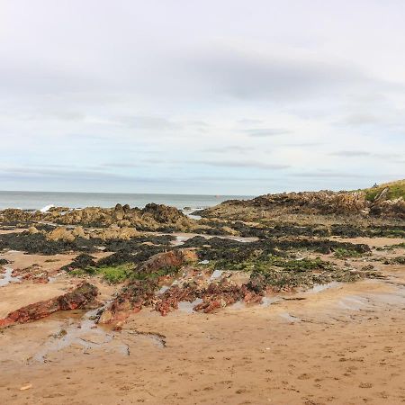 Meadow LodgeColdingham エクステリア 写真