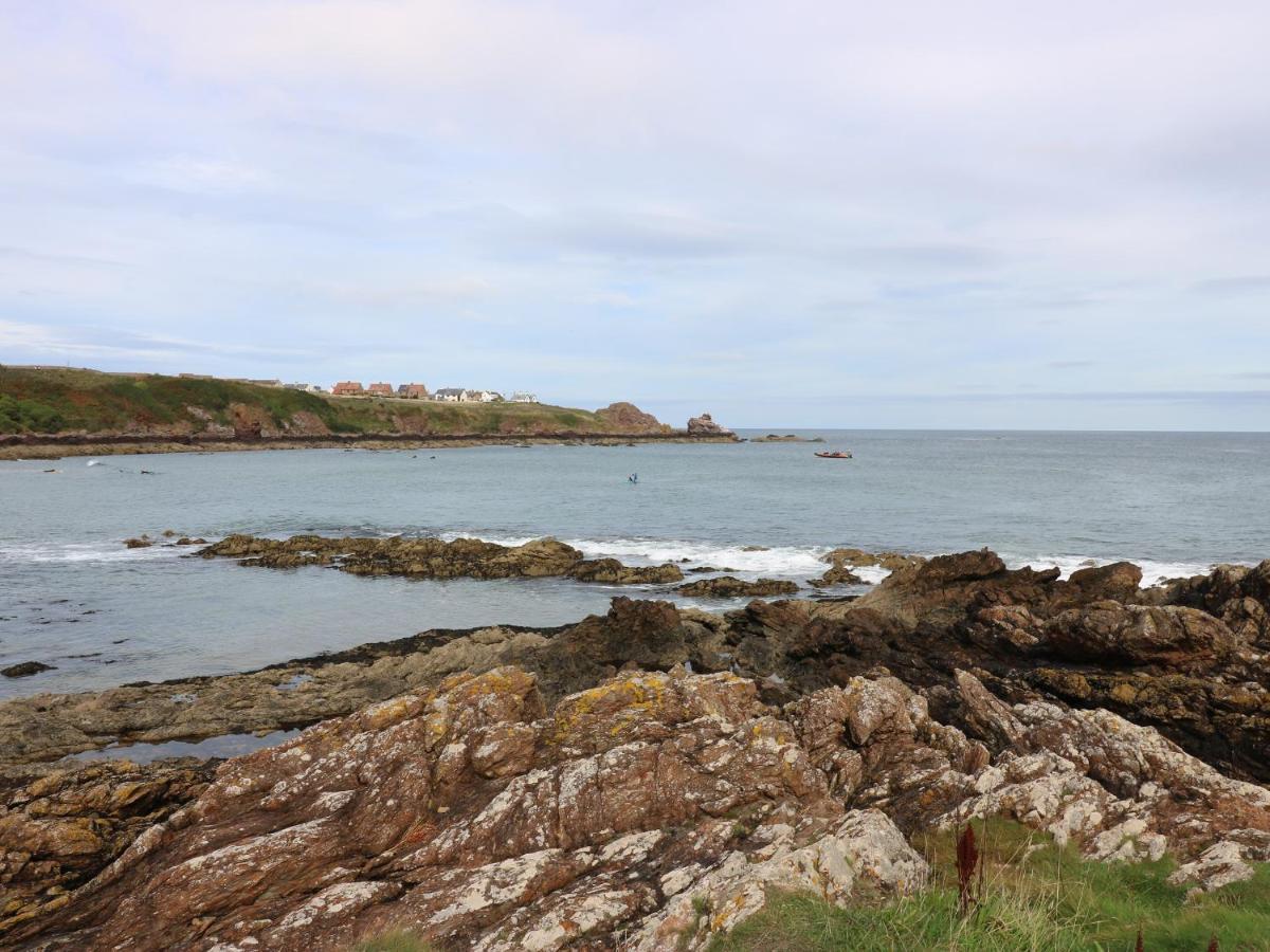 Meadow LodgeColdingham エクステリア 写真